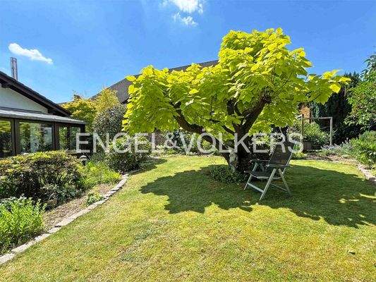 Gepflegte Gartenanlage
