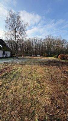 Blick mittig vom Grundstück zur Strasse