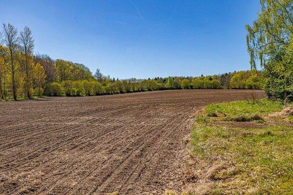 Zukünftige Hauskoppel