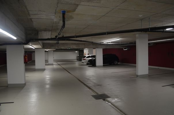 DSC_1080