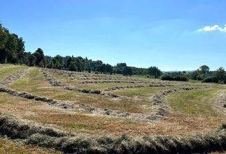 Steinfurt_Heuernte_0725 (2) (002).jpg