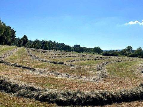 Grebenhain Grundstücke, Grebenhain Grundstück kaufen
