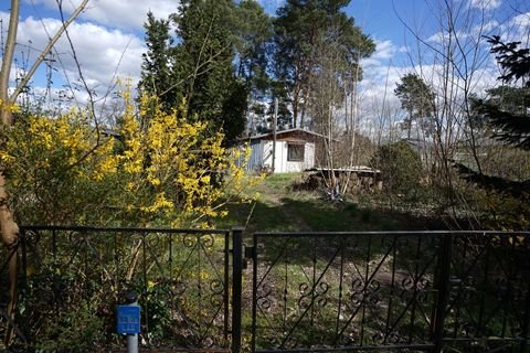 Blossin / Friedersdorf Häuser, Blossin / Friedersdorf Haus kaufen