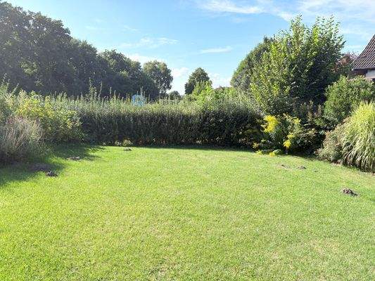 Weitere Grünfläche, die auch zum Grundstück gehört