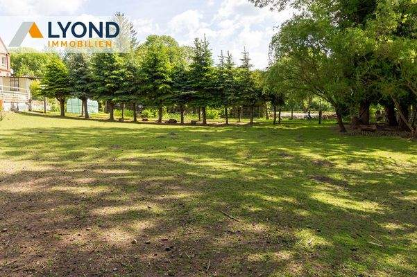 Grünfläche mit Baumbestand