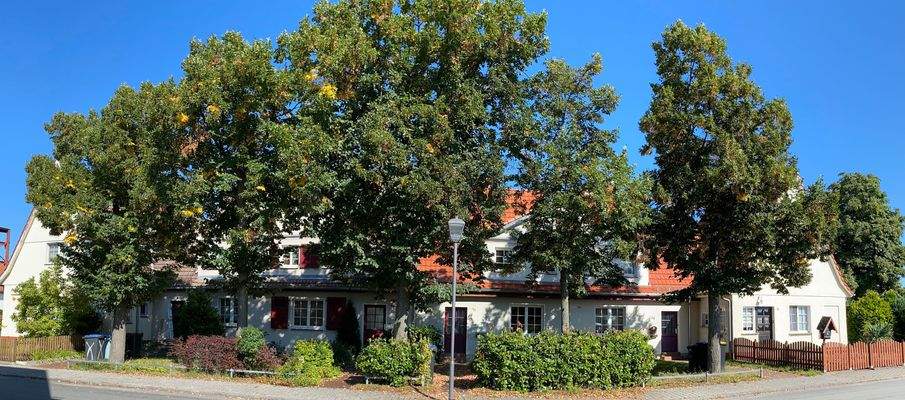 Hausensemble im Sommer