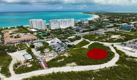 Grace Bay Bauernhöfe, Landwirtschaft, Grace Bay Forstwirtschaft