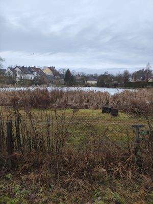 Blick zum angrenzenden Teich.jpg