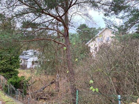 Teilansicht von Süd- Ost im Herbst