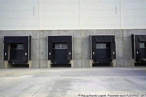 Schönefeld Halle, Schönefeld Hallenfläche