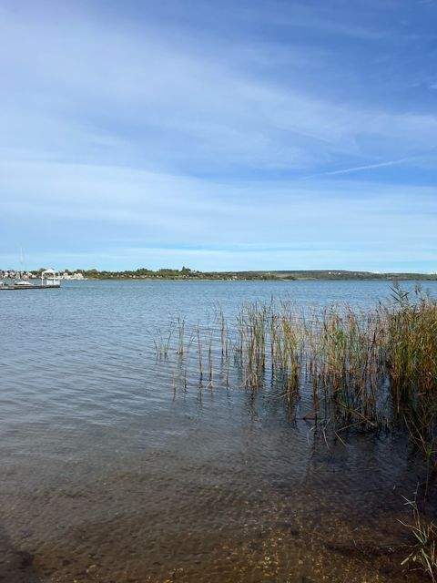 Neukieritzsch Grundstücke, Neukieritzsch Grundstück kaufen