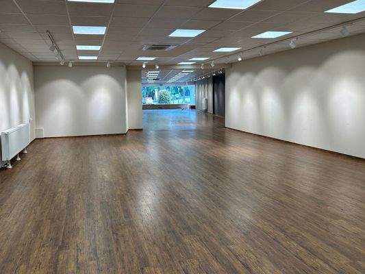 Verkaufsfläche hinten 