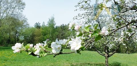 Schöllnach Grundstücke, Schöllnach Grundstück kaufen