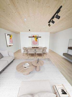 Moderner Wohn-Essbereich