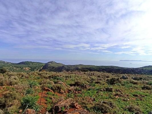 Kreta, Astratigos: Grundstück in der Nähe von Kolymvari zu verkaufen