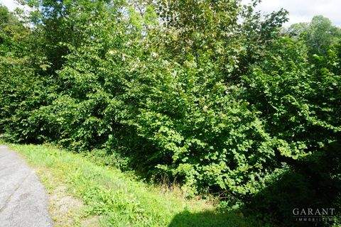 Alpirsbach Grundstücke, Alpirsbach Grundstück kaufen