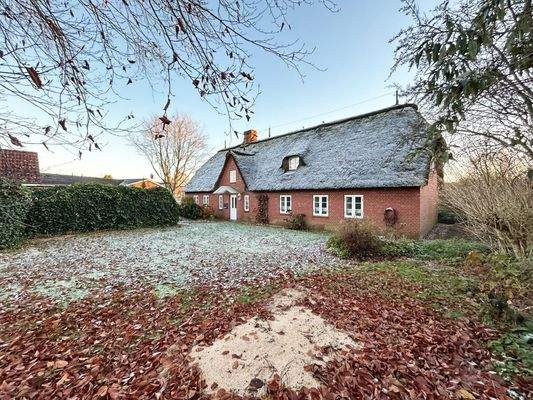 Reetdachhaus -Gartenansicht