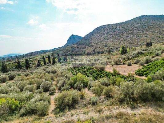 513d0ef1cc3640238c6756fb3e1b1d3e-original