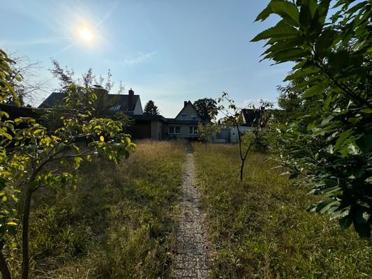 Blick Richtung Straße