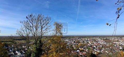 Weingarten Grundstücke, Weingarten Grundstück kaufen