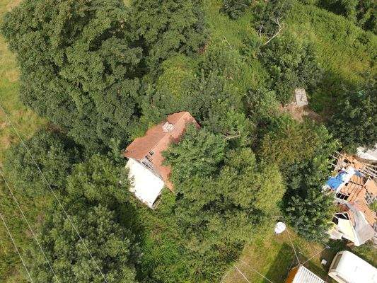 20240808_094140000_iOS