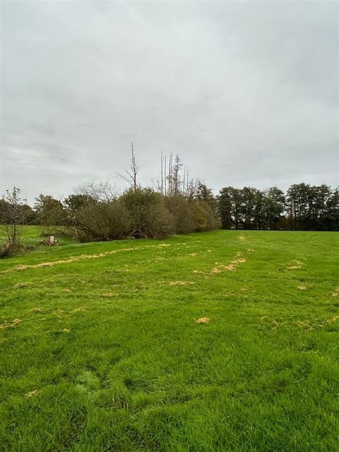 Rahden-Kleinendorf Bauernhöfe, Landwirtschaft, Rahden-Kleinendorf Forstwirtschaft