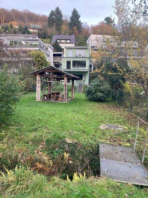 Heidelberg Häuser, Heidelberg Haus kaufen