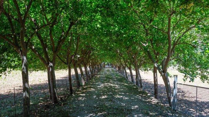 Cala Sant Vicenç Mallorca Landgut zum Verkauf Zugang BHHS-BAL-0306
