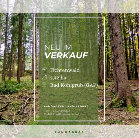 Bad Kohlgrub Bauernhöfe, Landwirtschaft, Bad Kohlgrub Forstwirtschaft