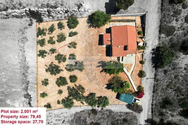 img_cbc8bb5f-863a-47ba-983b-5b47ffdf6cc2