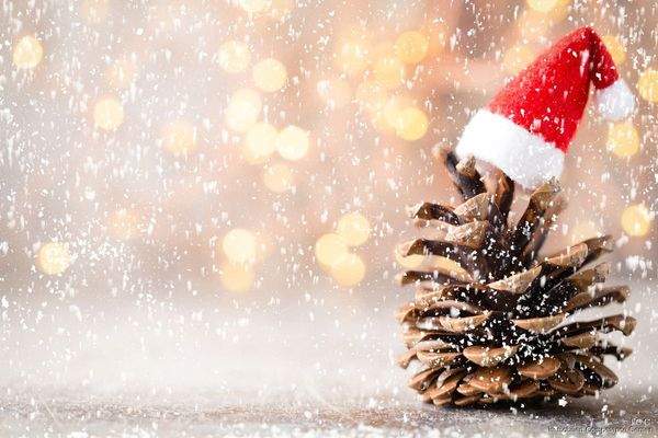 Das ICC – das Immobilien Competence Center - Weihnachtszauber liegt in der Luft - freu dich auf dein "Kripperl" 