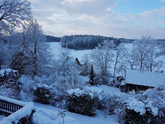 Ausblick im Winter