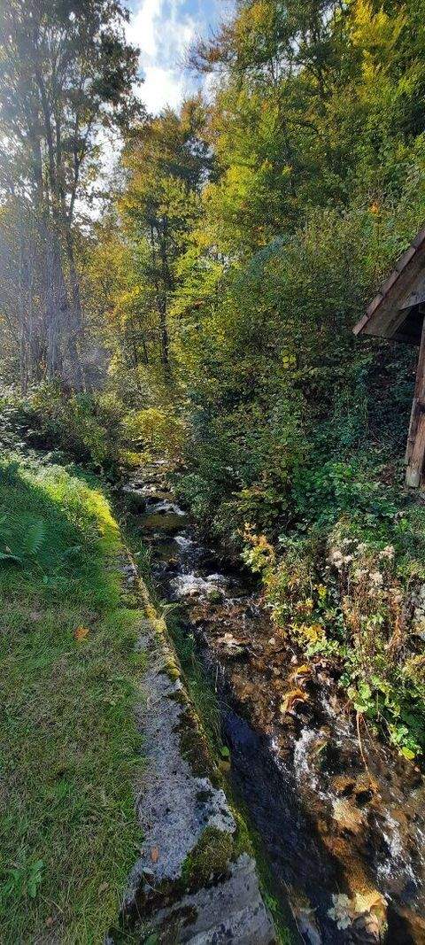 Hohenthurn Häuser, Hohenthurn Haus kaufen