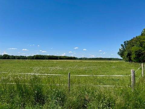Türkheim Bauernhöfe, Landwirtschaft, Türkheim Forstwirtschaft