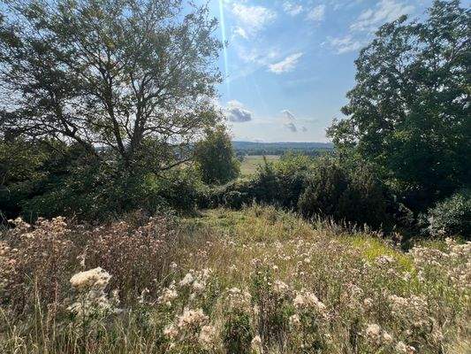 Blick auf Grundstück