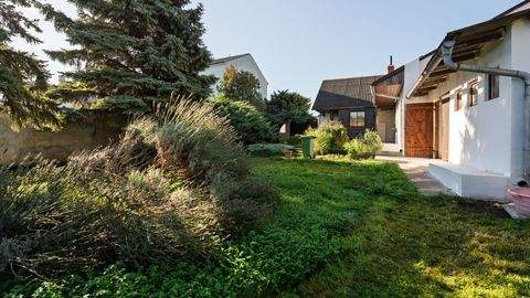 Wittau Häuser, Wittau Haus kaufen