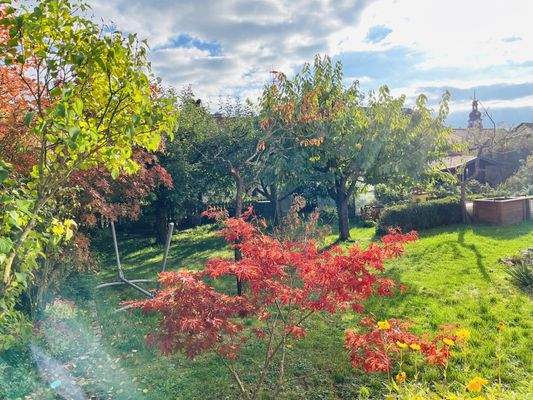 Gartenanlage mit Ziergehölzen
