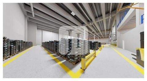 Berlin Halle, Berlin Hallenfläche