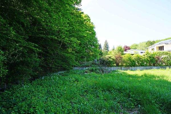 östliche Grundgrenze Richtung Wald