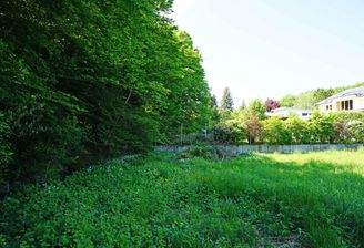 östliche Grundgrenze Richtung Wald