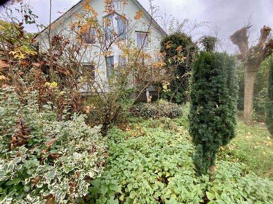 Viel Grün rund um das Objekt