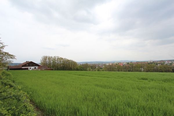 Grundstück - Impressionen 