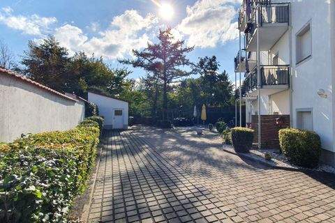 Borna Wohnungen, Borna Wohnung mieten