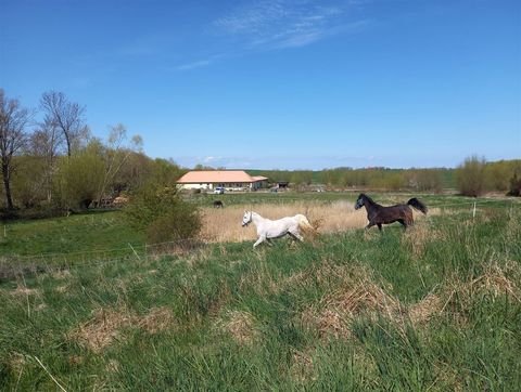 Gägelow b Wismar, Meckl Häuser, Gägelow b Wismar, Meckl Haus kaufen