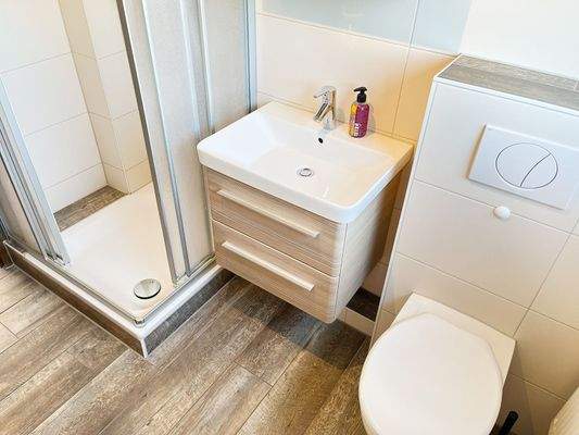 Tageslicht Duschbad im OG