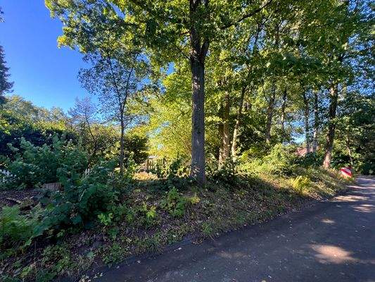 SCHRICK IMMOBILIEN: Volksdorf