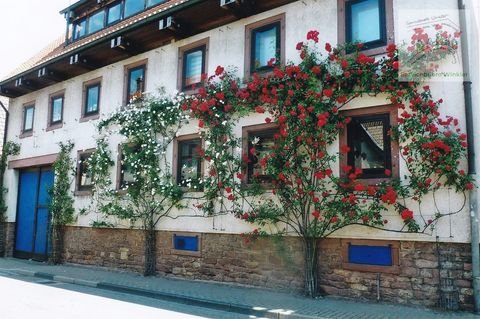 Nußloch Häuser, Nußloch Haus kaufen
