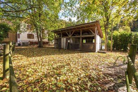 Baden-Baden Häuser, Baden-Baden Haus kaufen