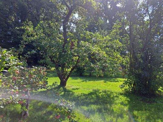 Ansicht Grundstück.jpg