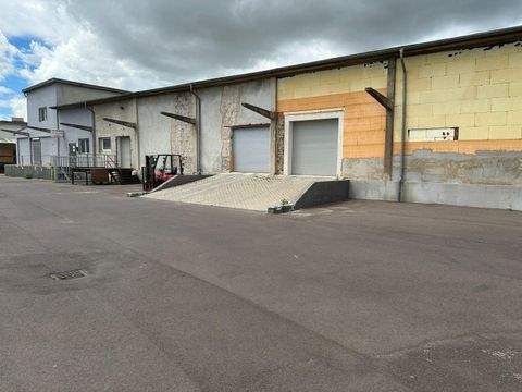 Zerbst/Anhalt Halle, Zerbst/Anhalt Hallenfläche